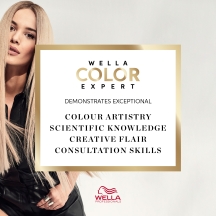 Colour Expert logo